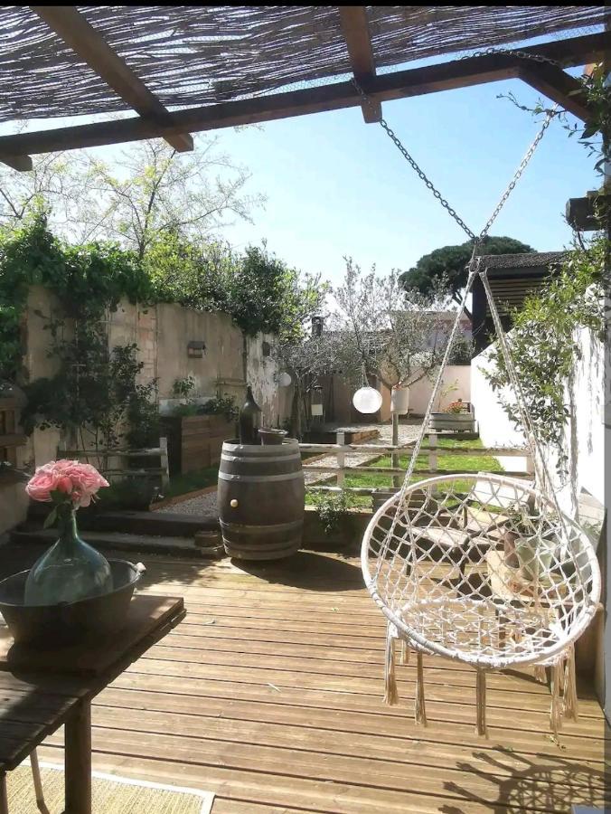 La Maison De Marie - Jardin Arbore - Garage Privatif - Netflix Carcassonne Buitenkant foto
