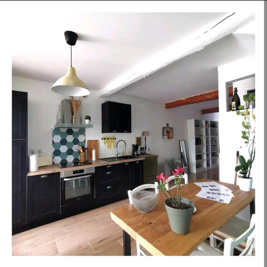 La Maison De Marie - Jardin Arbore - Garage Privatif - Netflix Carcassonne Buitenkant foto